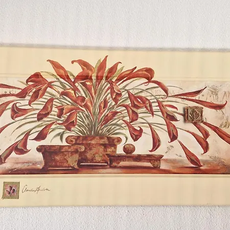 Sur - Côté Pontaillac - Mitoyenne - Piscine Collective *